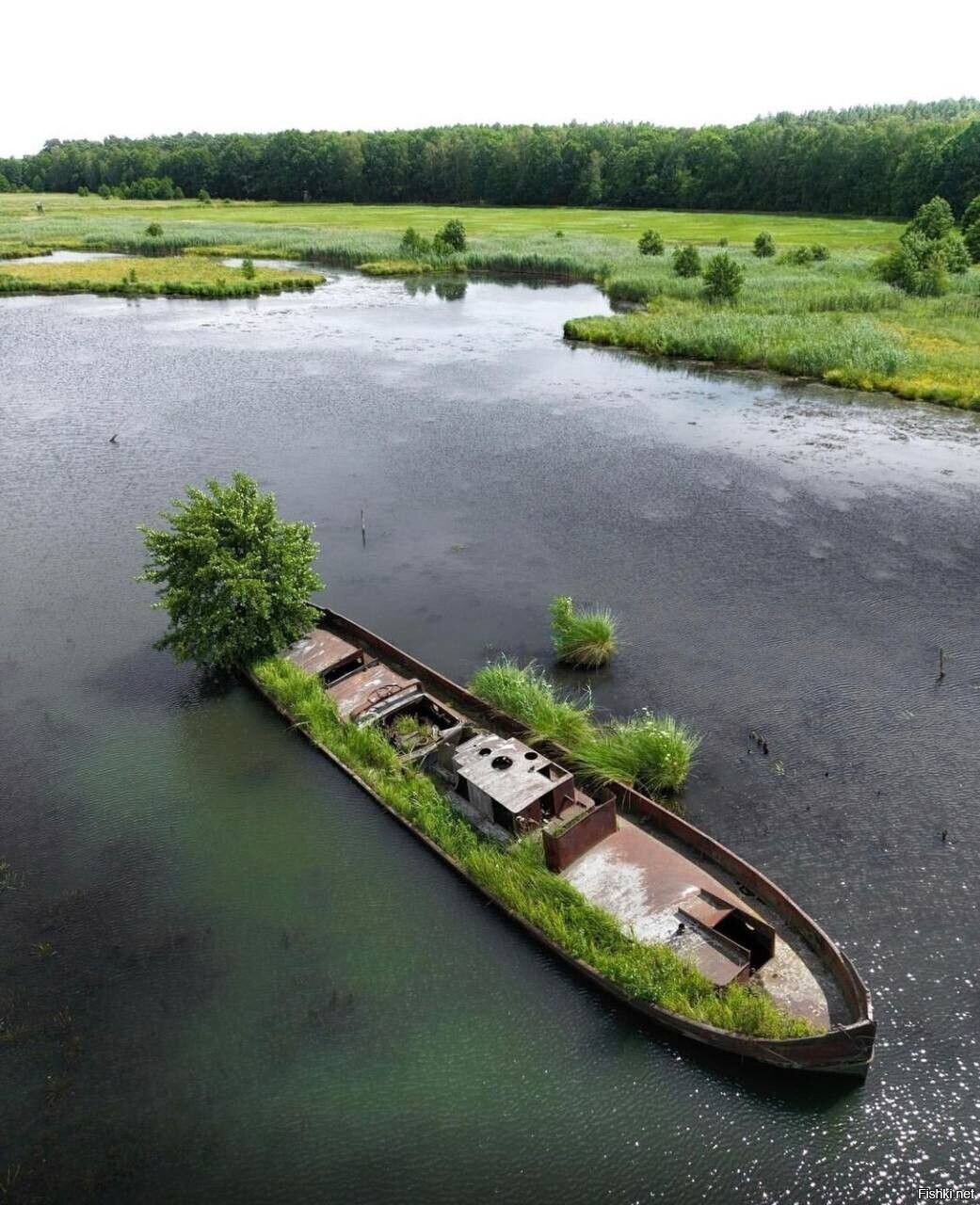 Солянка
