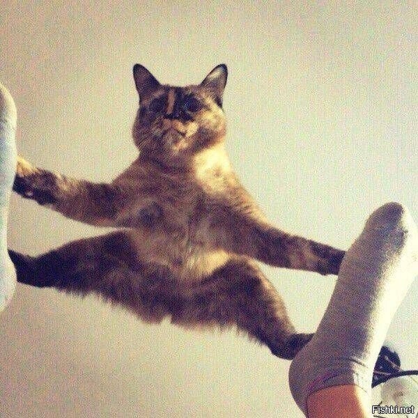 Солянка