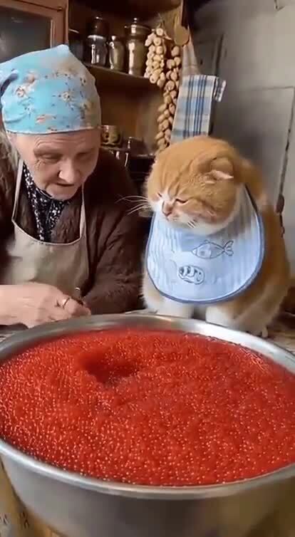 Живут же некоторые
