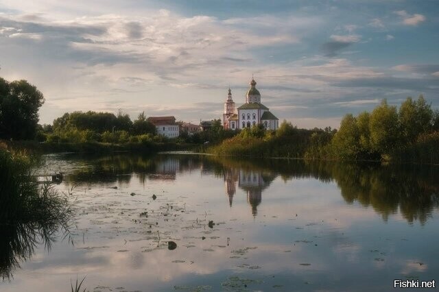 Солянка