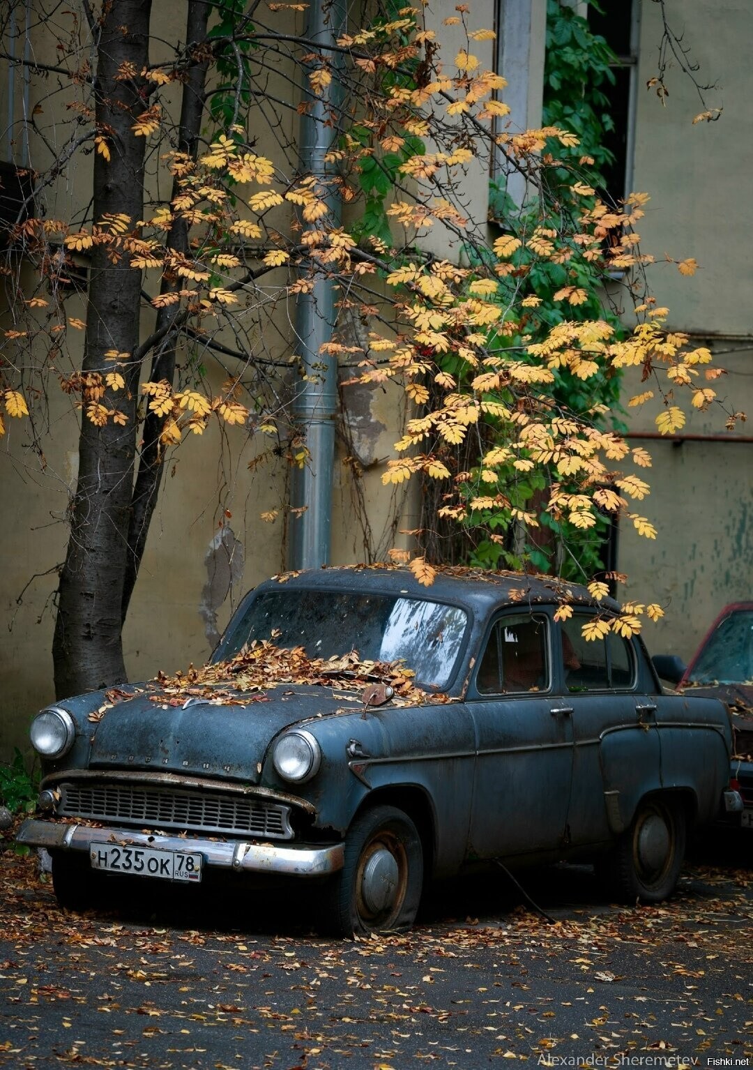 Солянка