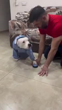 Талантливый ученик