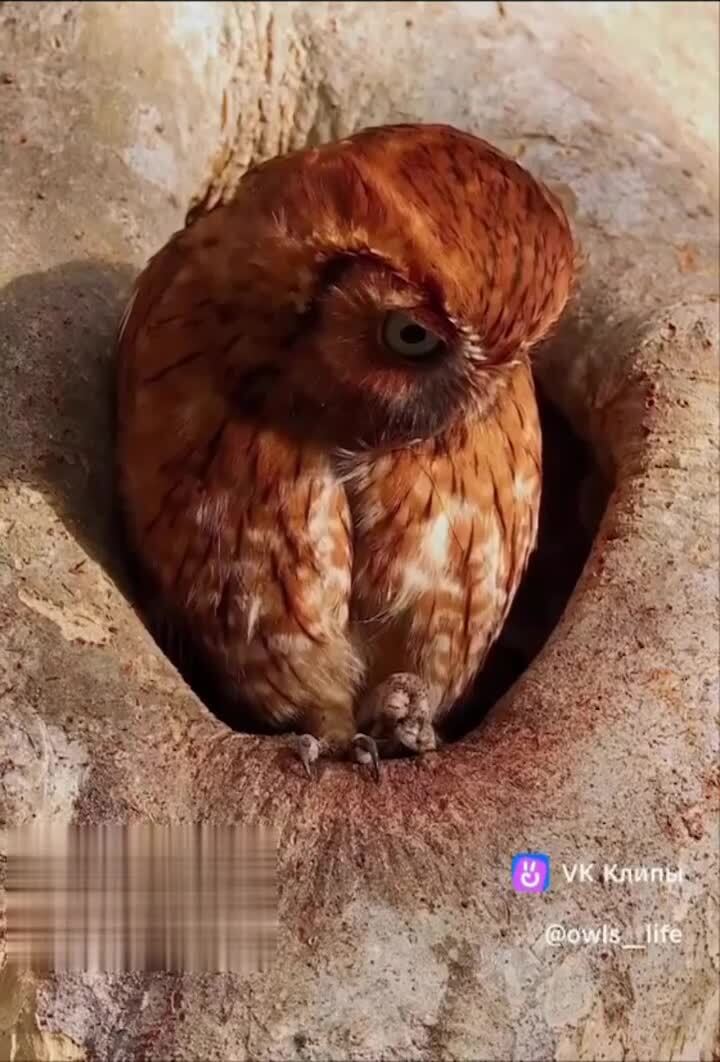 Утро