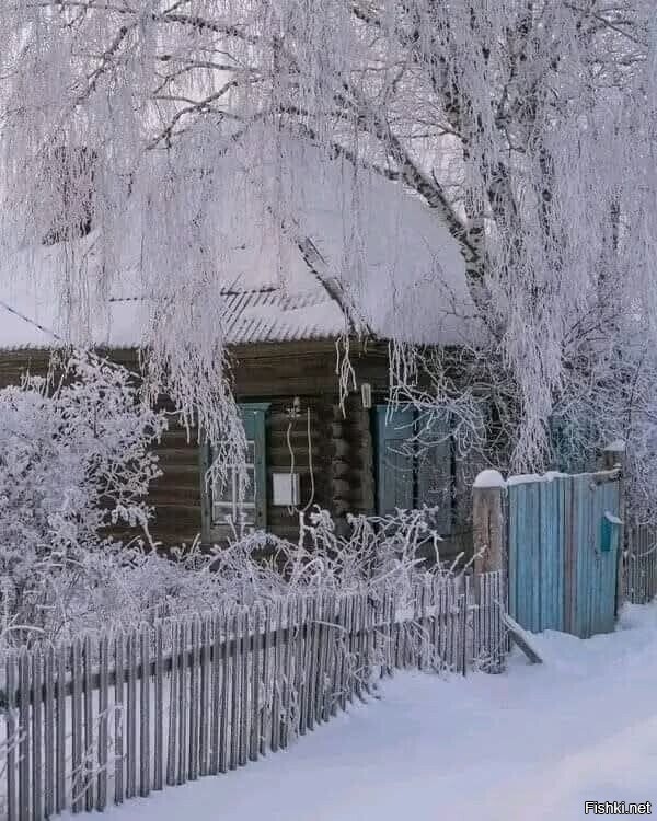 Солянка