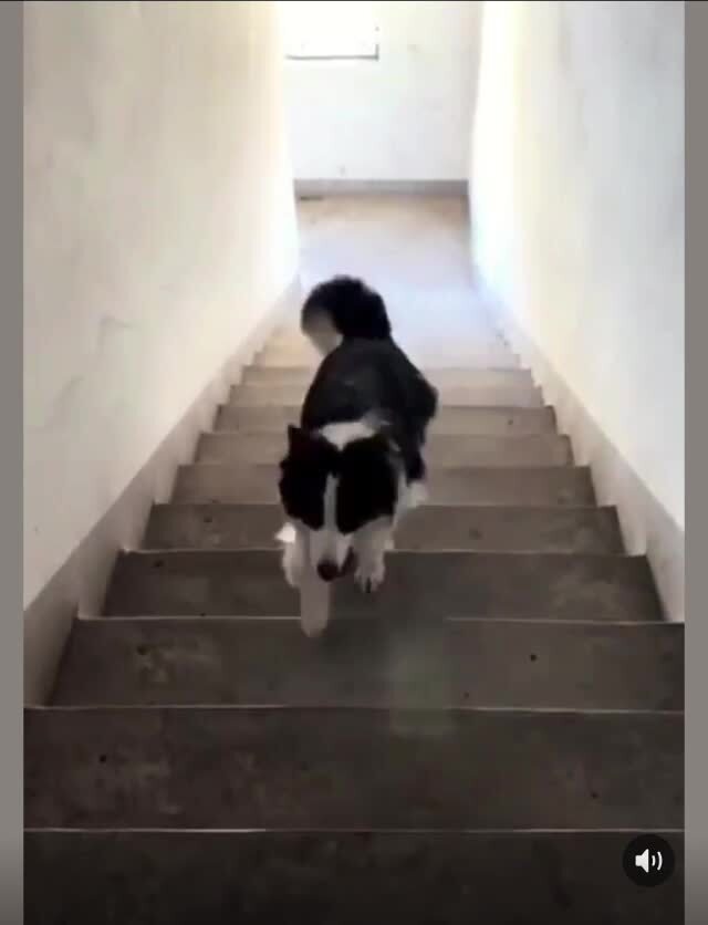 Сам себе устроил игру )))