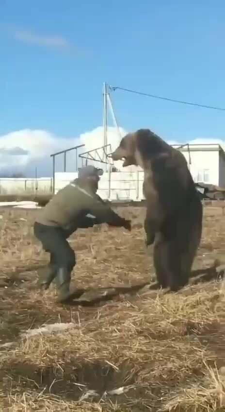 Только американцам не показывайте )