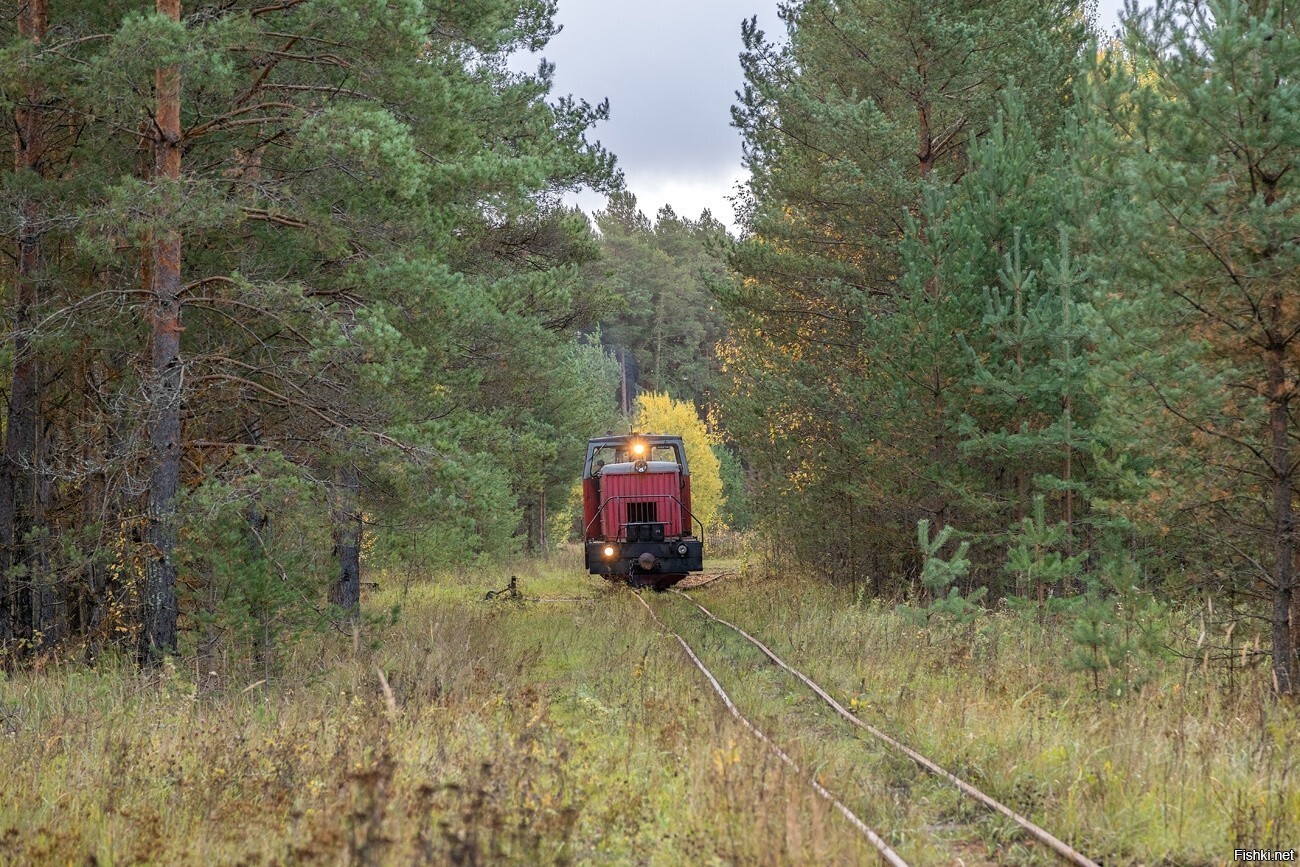 ТУ6А-2897