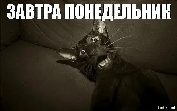 Блин, уже сегодня