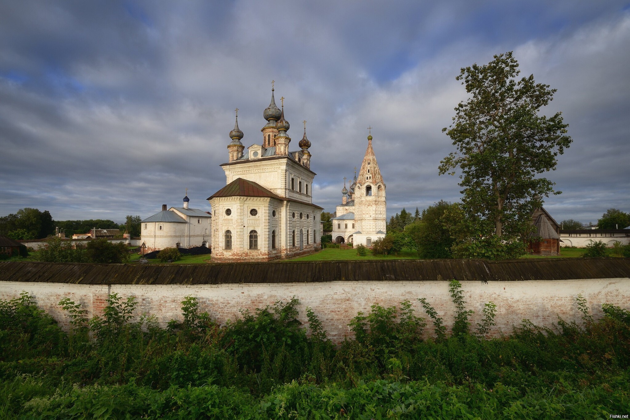 Солянка
