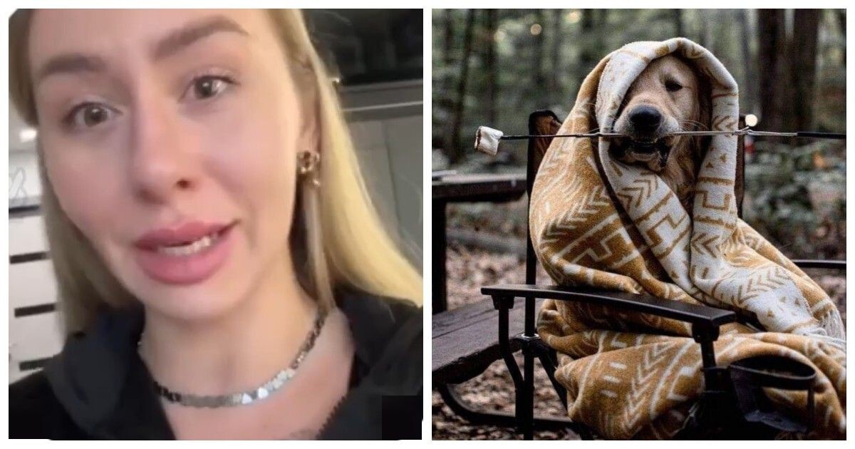 Собака запуталась в пледе: паника хозяйки из-за "маленькой" проблемы