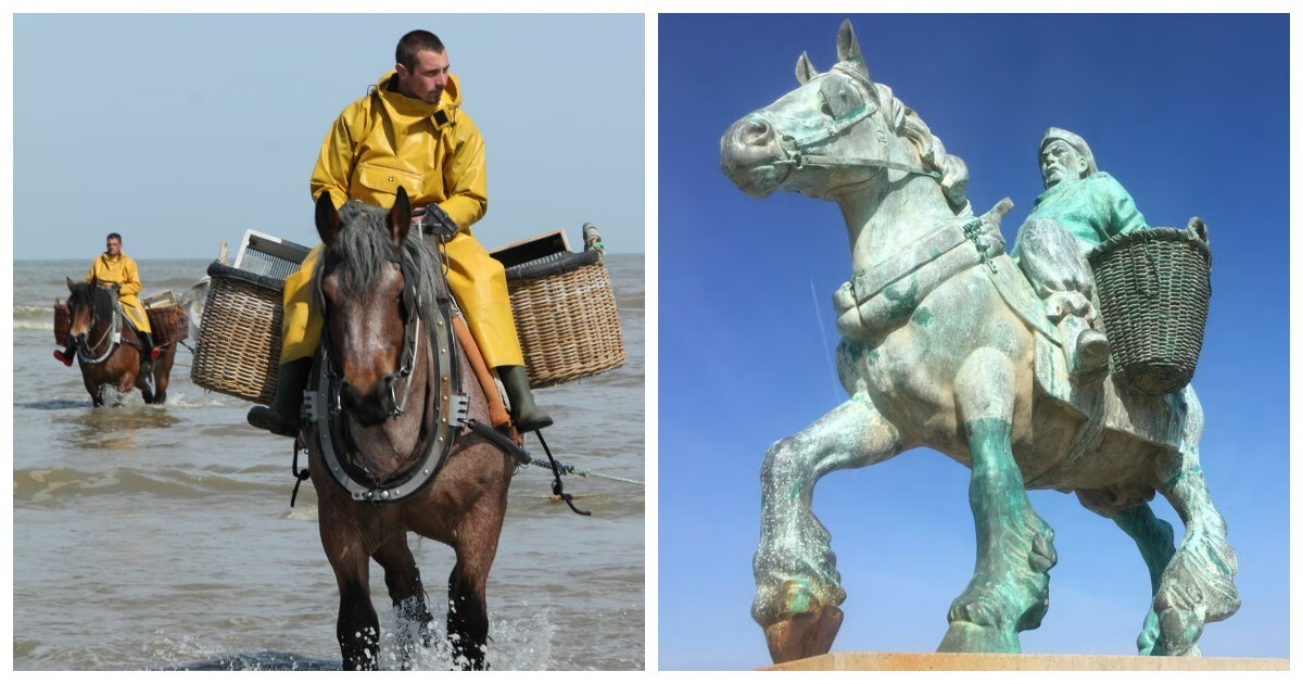 Всадники-креветочники Остдейнкерке