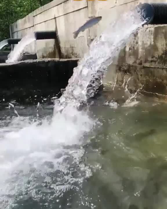 Тернистый путь