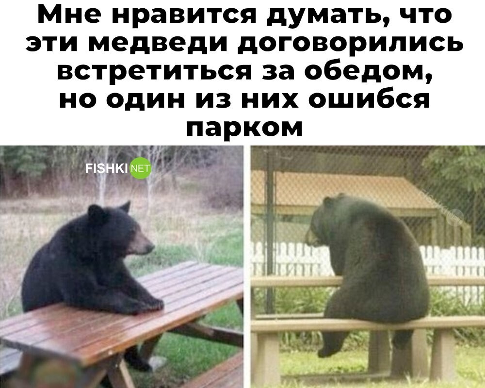 Скрины из соцсетей