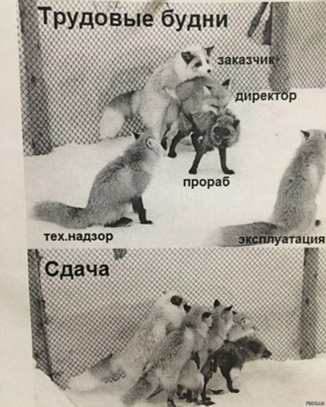Солянка