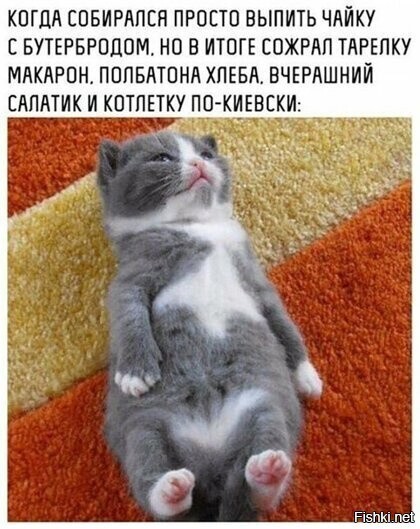 Солянка