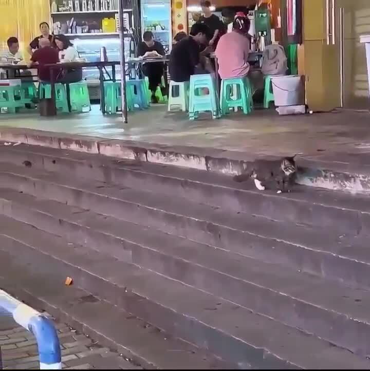 Дороги, которые мы выбираем