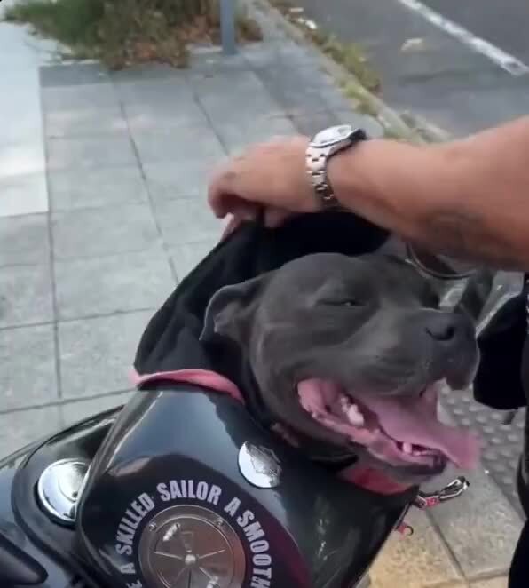 Экипировка по полной 