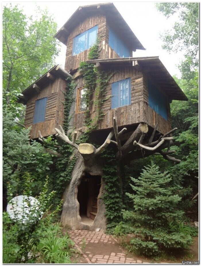 Солянка