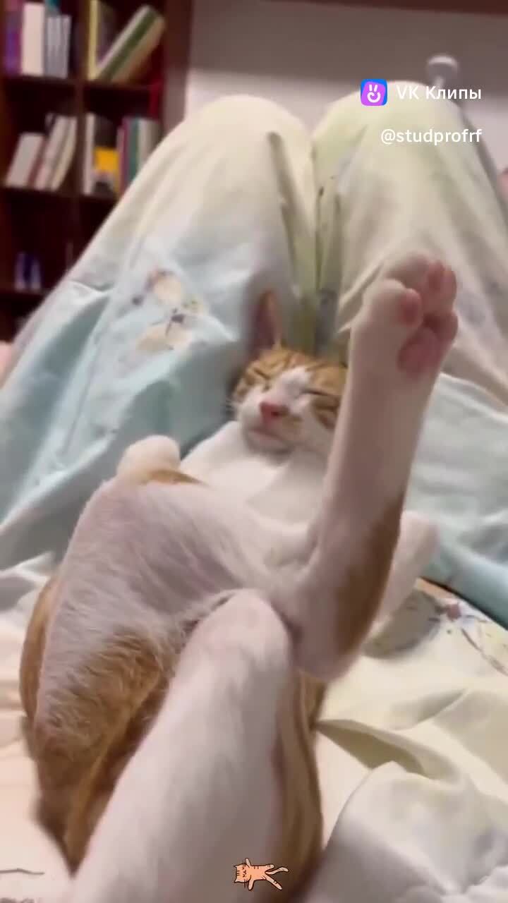 доброй ночи