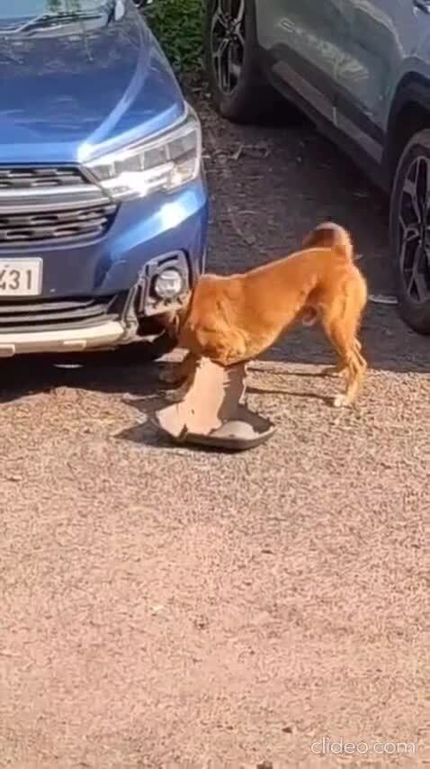 Цель достигнута )))
