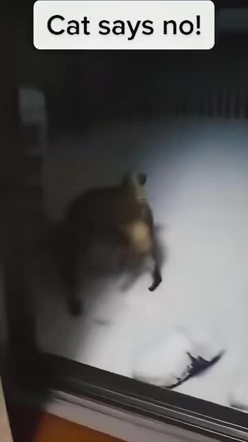 Не воспринимают они холод