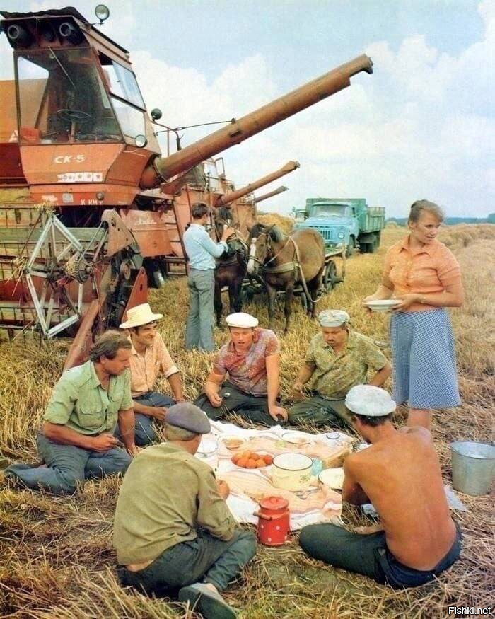 Солянка