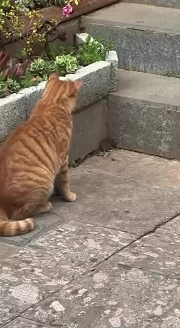 клянусь,это был несчастный случай