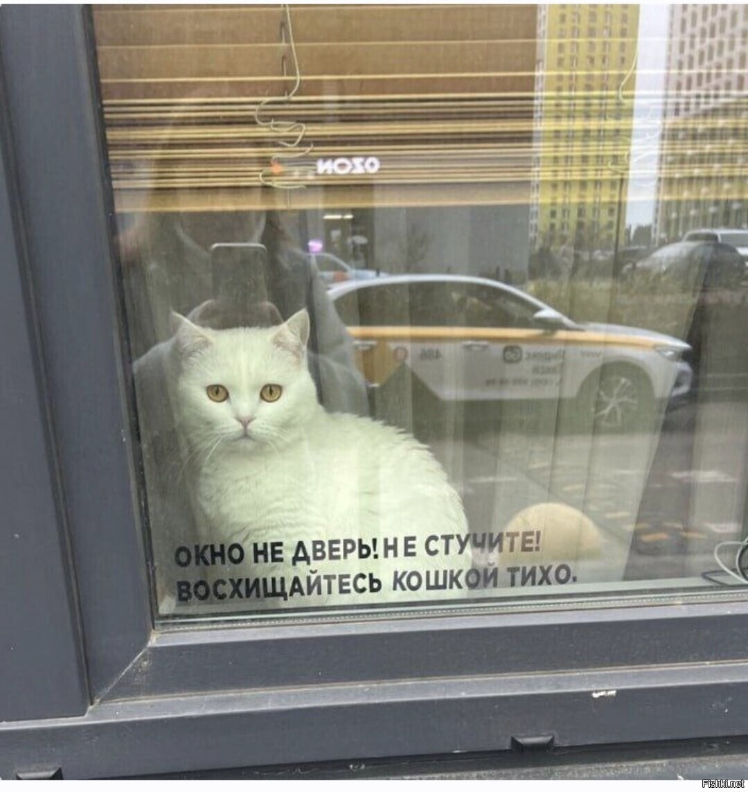 Доброе утро