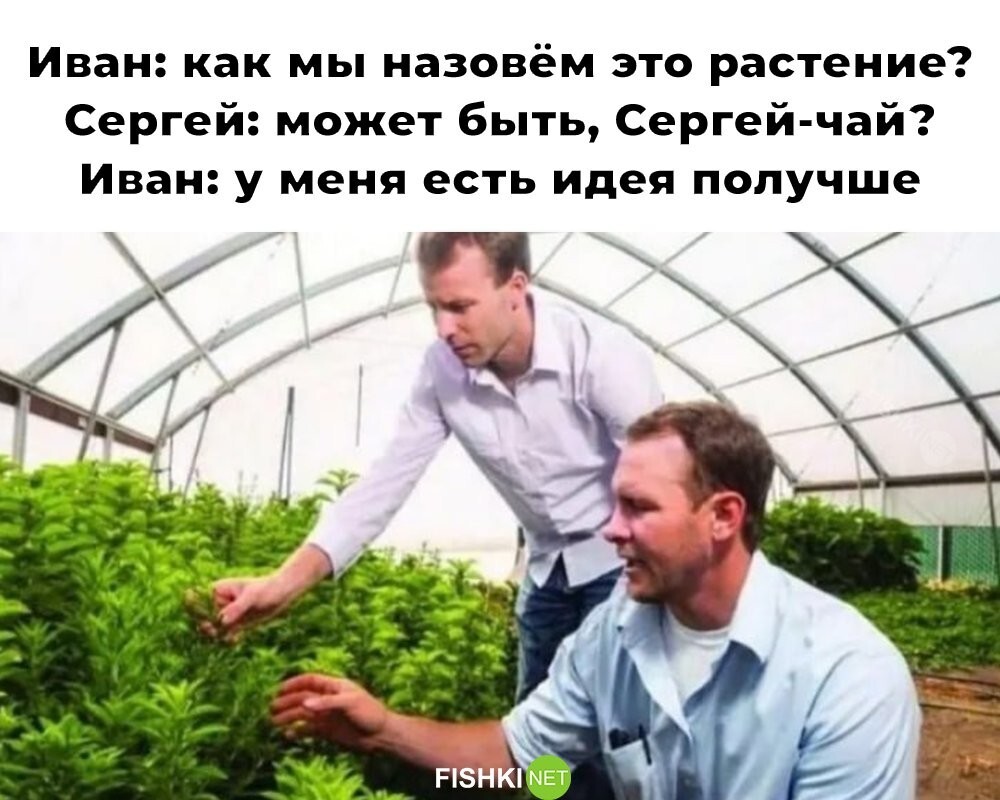 Смешные картинки