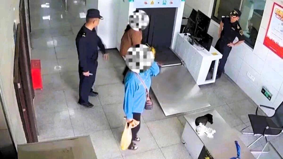 В Китае женщина пыталась провезти 1 кг живых бамбуковых червей