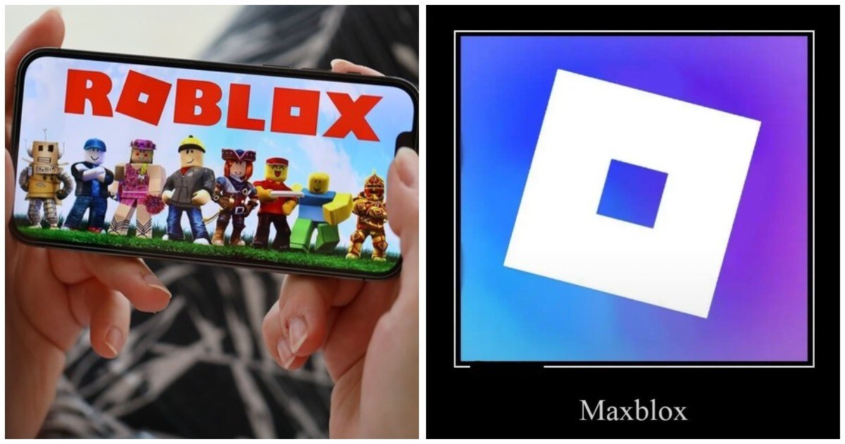 В Общественной палате призвали создать аналог заблокированной в России платформы Roblox