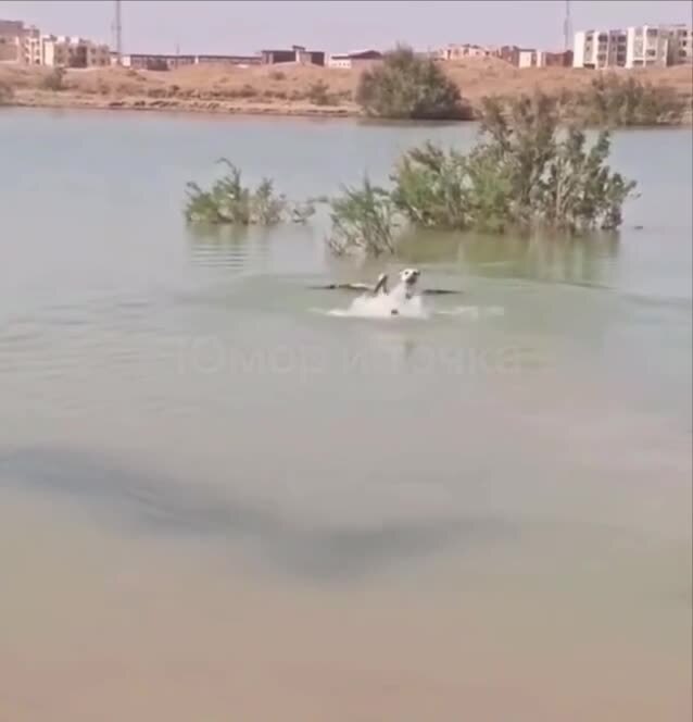 Девушка , можно с вами познакомиться