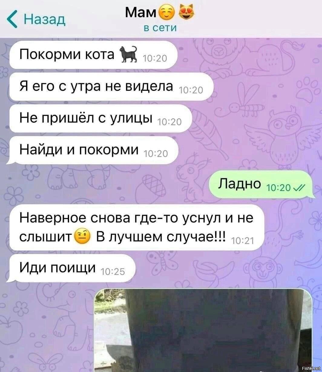 Солянка