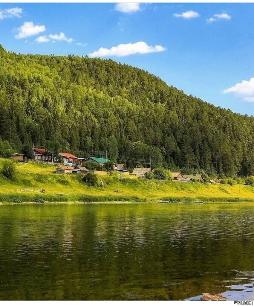 Солянка