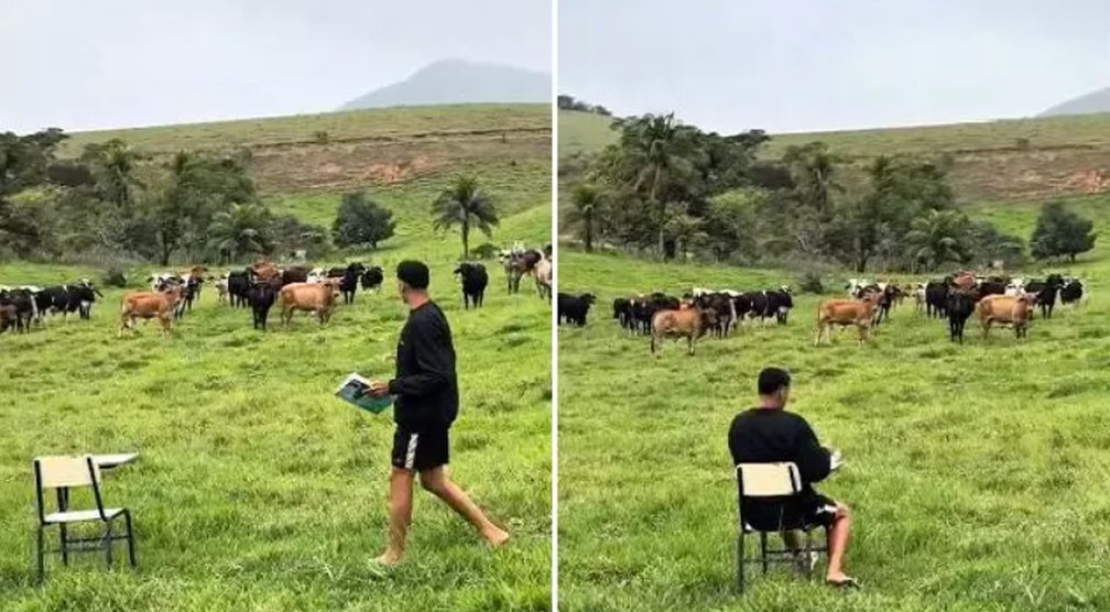 Перекличка на пастбище