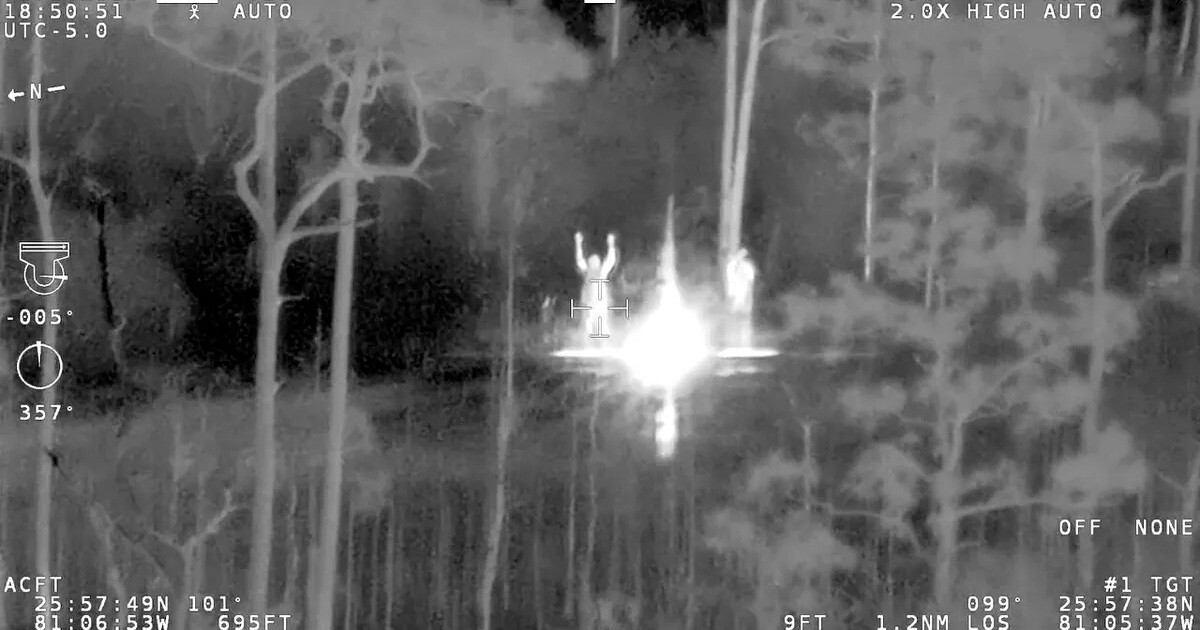 Отец с сыном застряли на болотах, кишащих аллигаторами