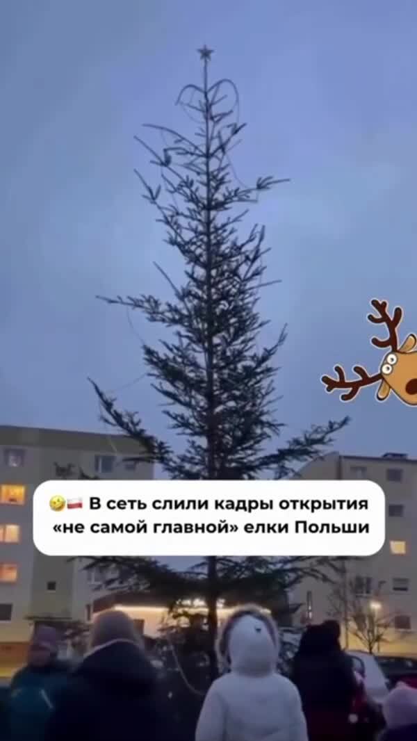 У соседей тоже праздник намечается 