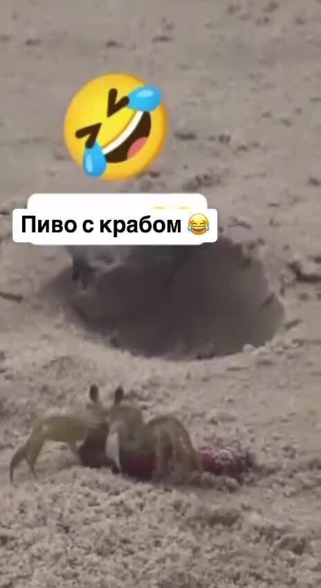 Пиво с крабом
