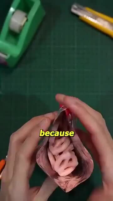Япония