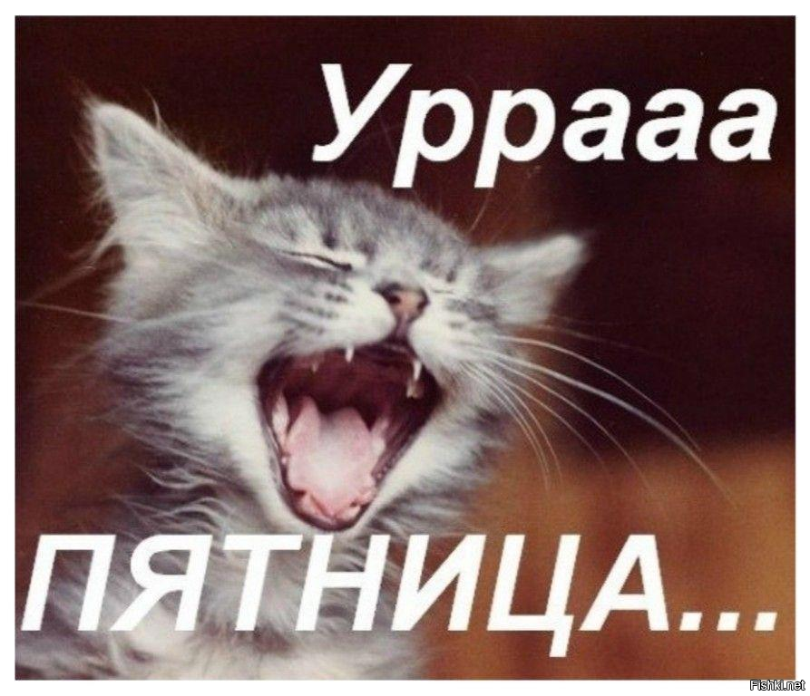 Доброго утра