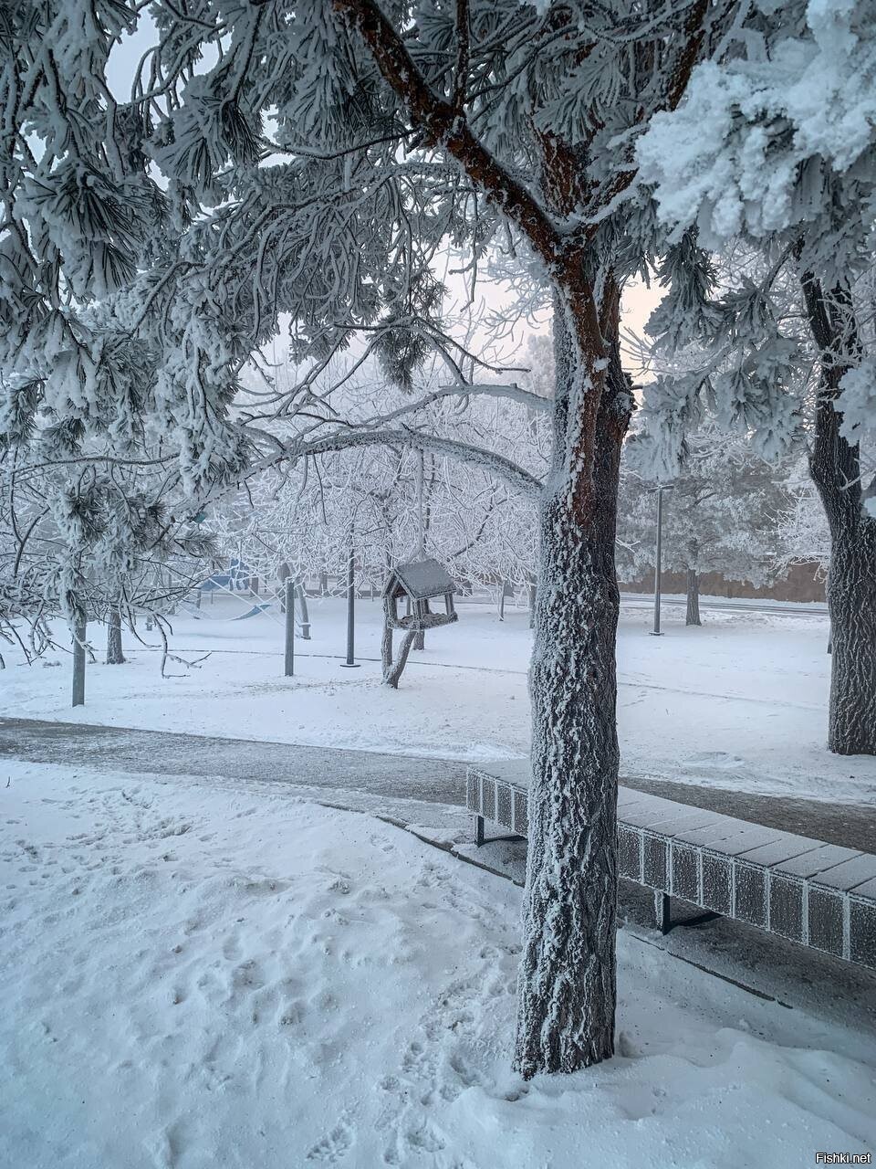 Солянка