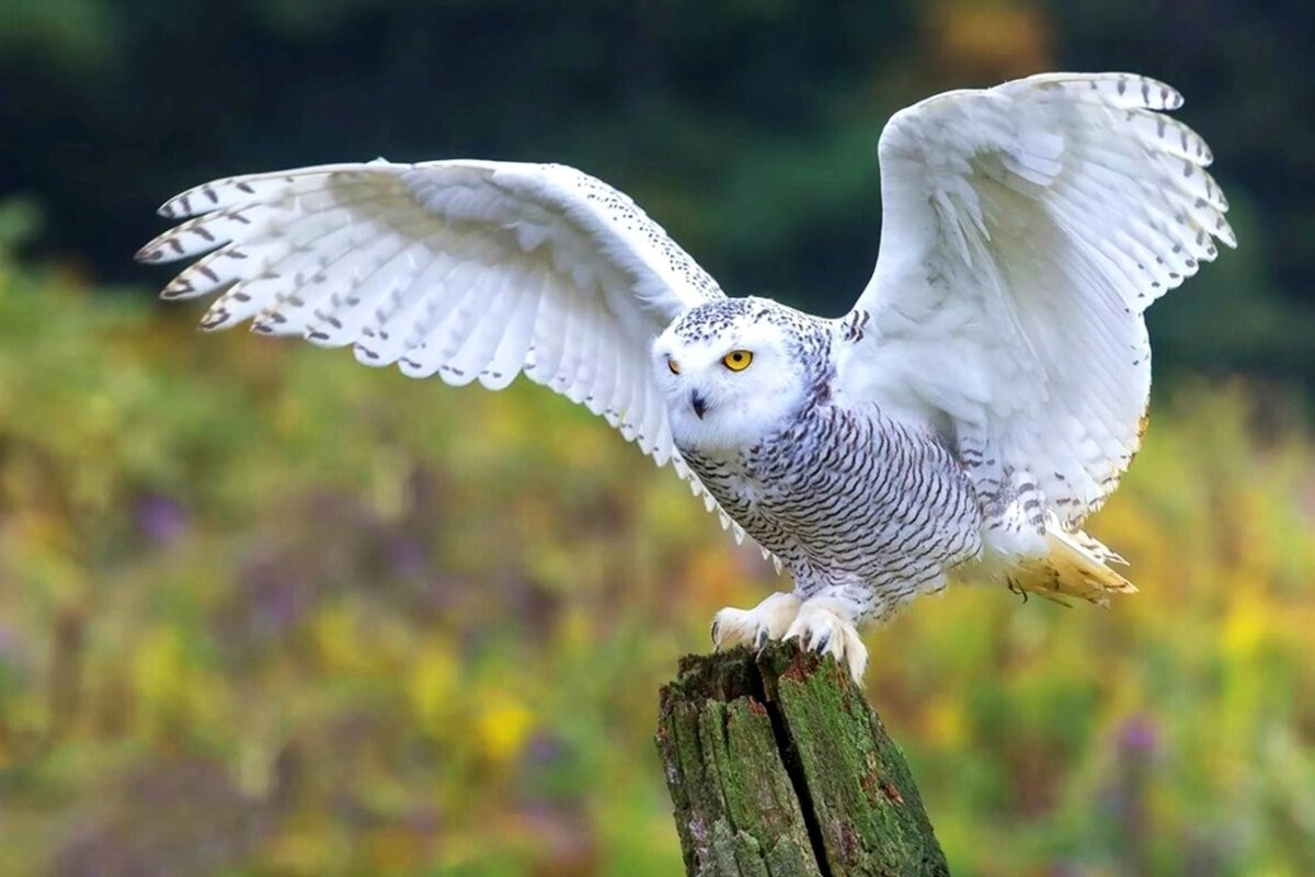 На общую тему&nbsp;