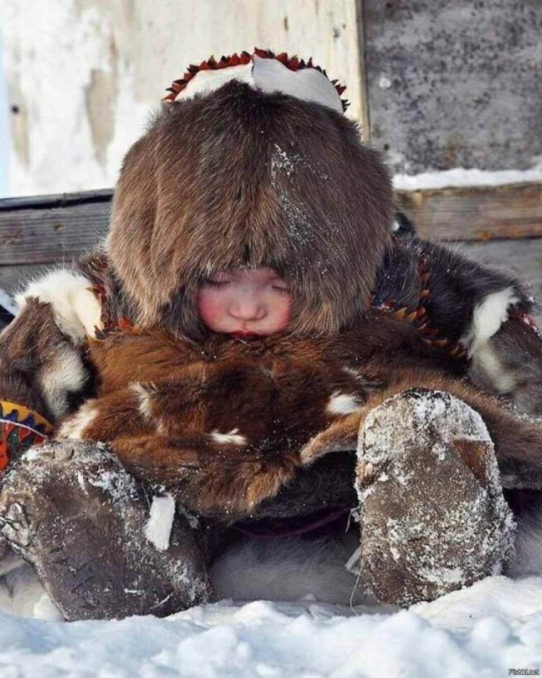 Солянка