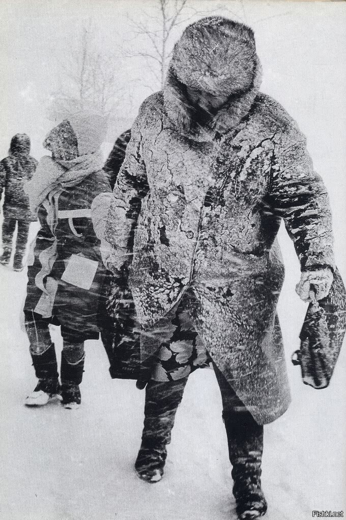 Солянка