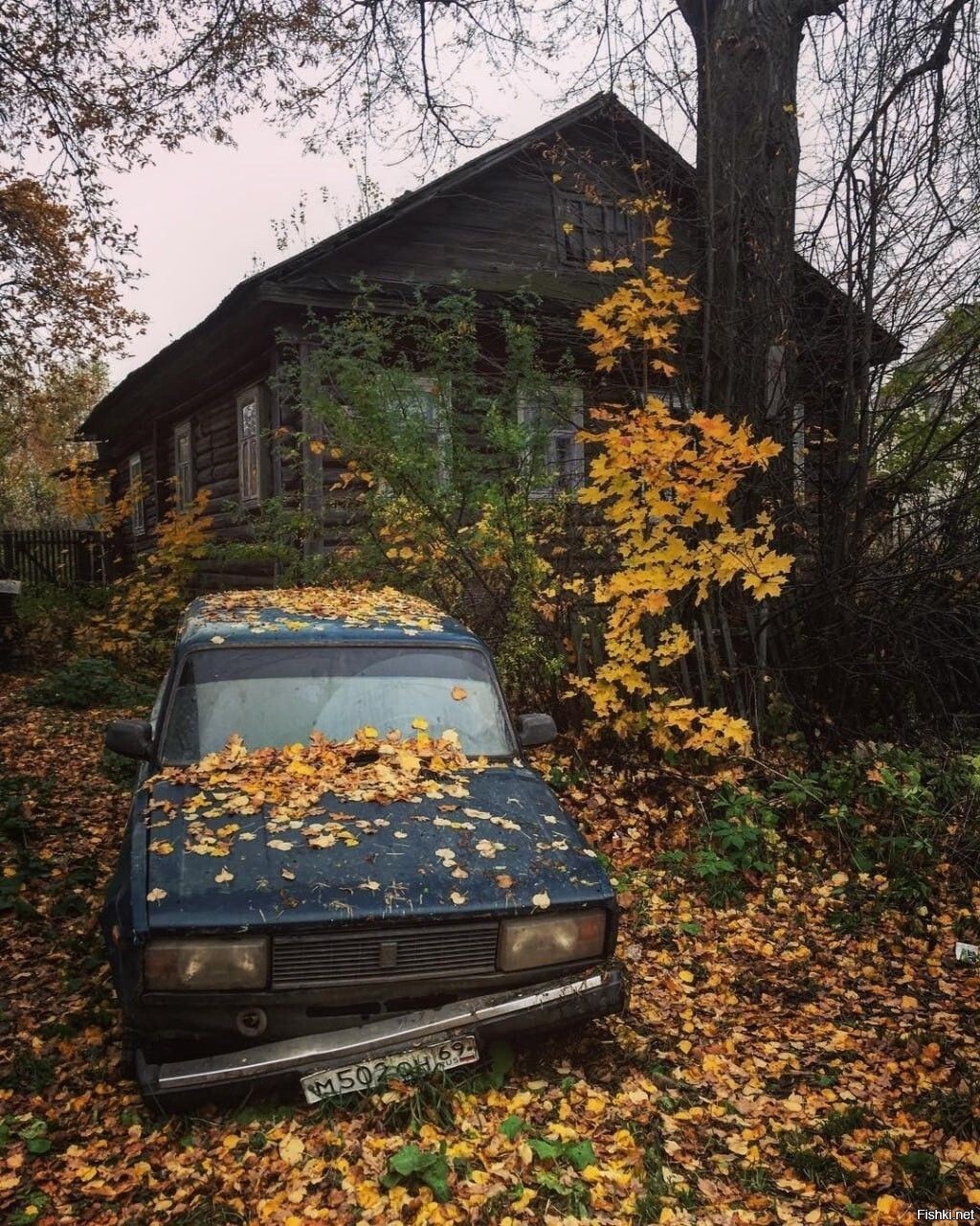 Солянка