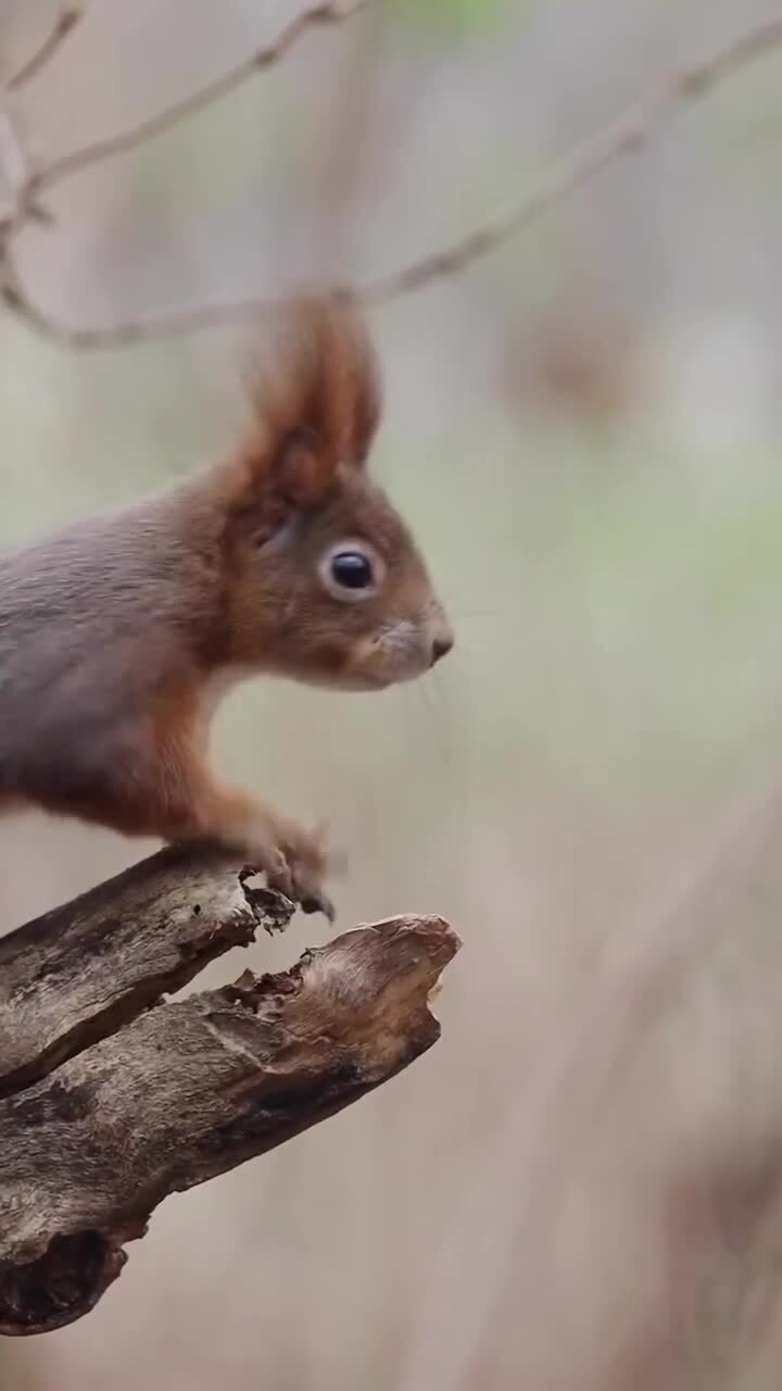 Красиво