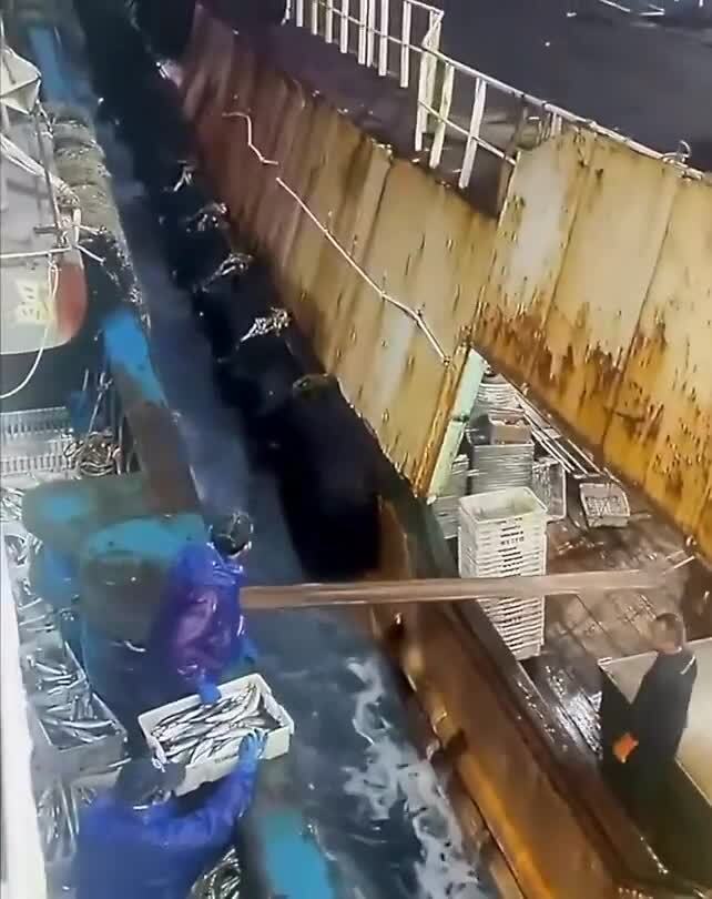 Солянка