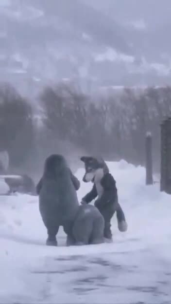 Солянка