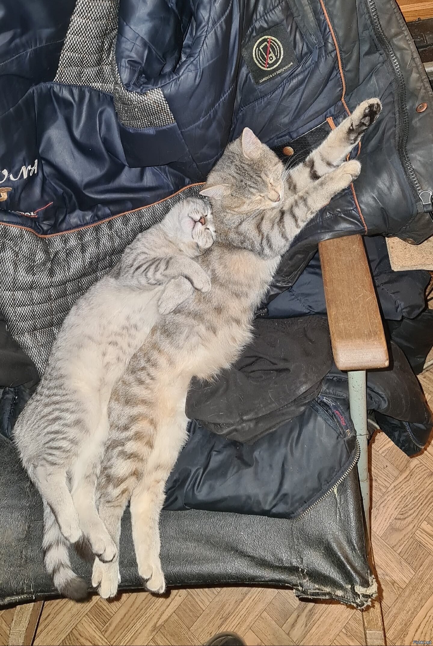Солянка