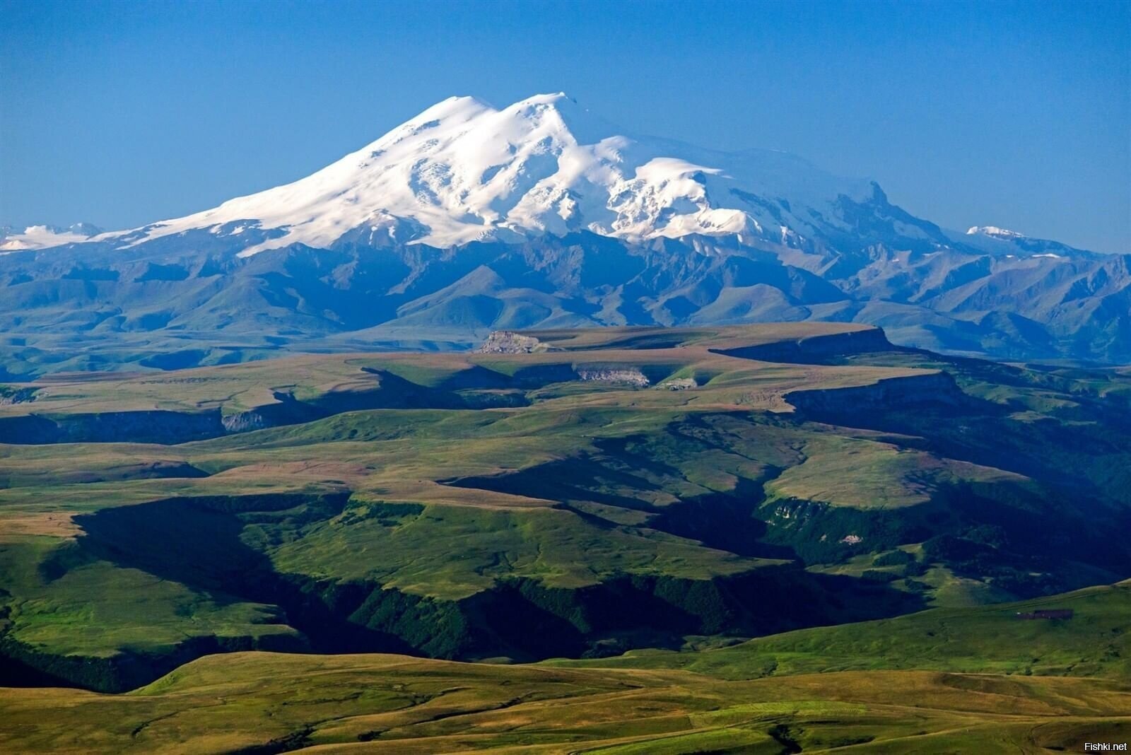 Солянка